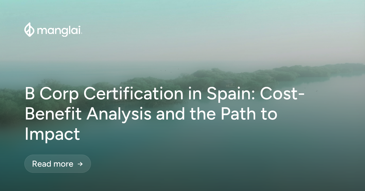 B Corp Certification in Spain: Cost-Benefit Analysis and the Path to Impact