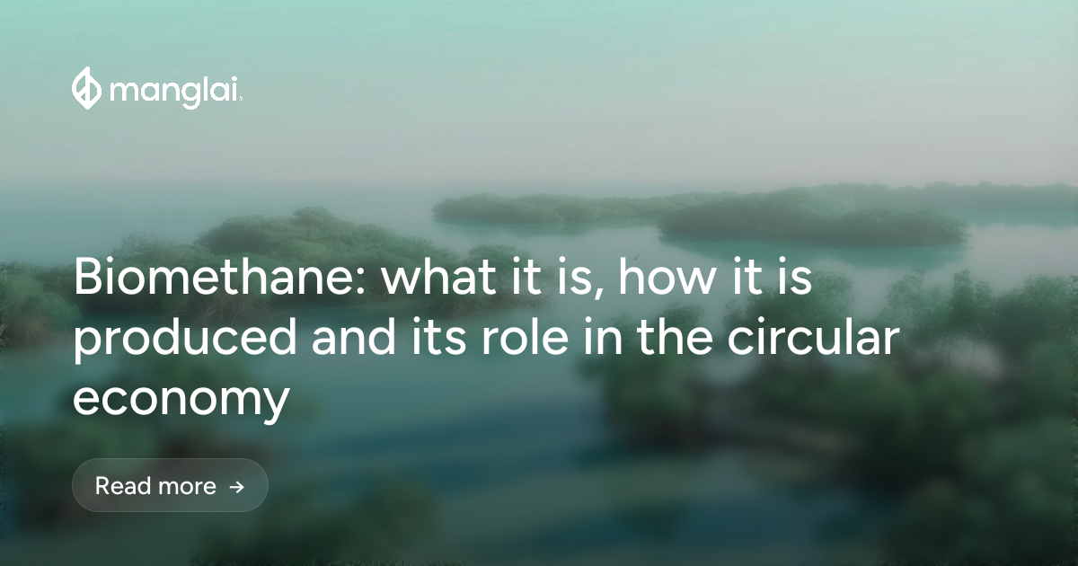 Biomethane: what it is, how it is produced and its role in the circular economy