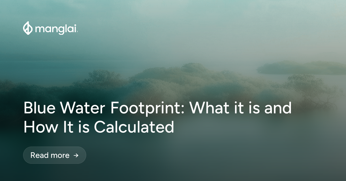 Blue Water Footprint: What it is and How It is Calculated