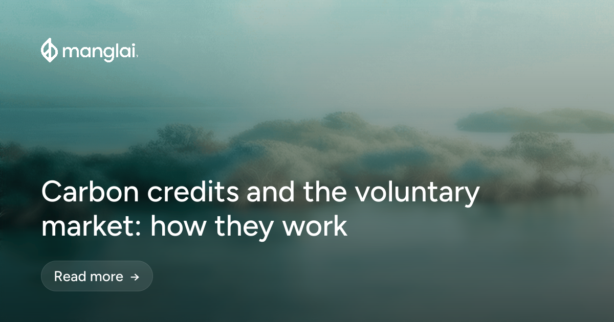Carbon credits and the voluntary market: how they work