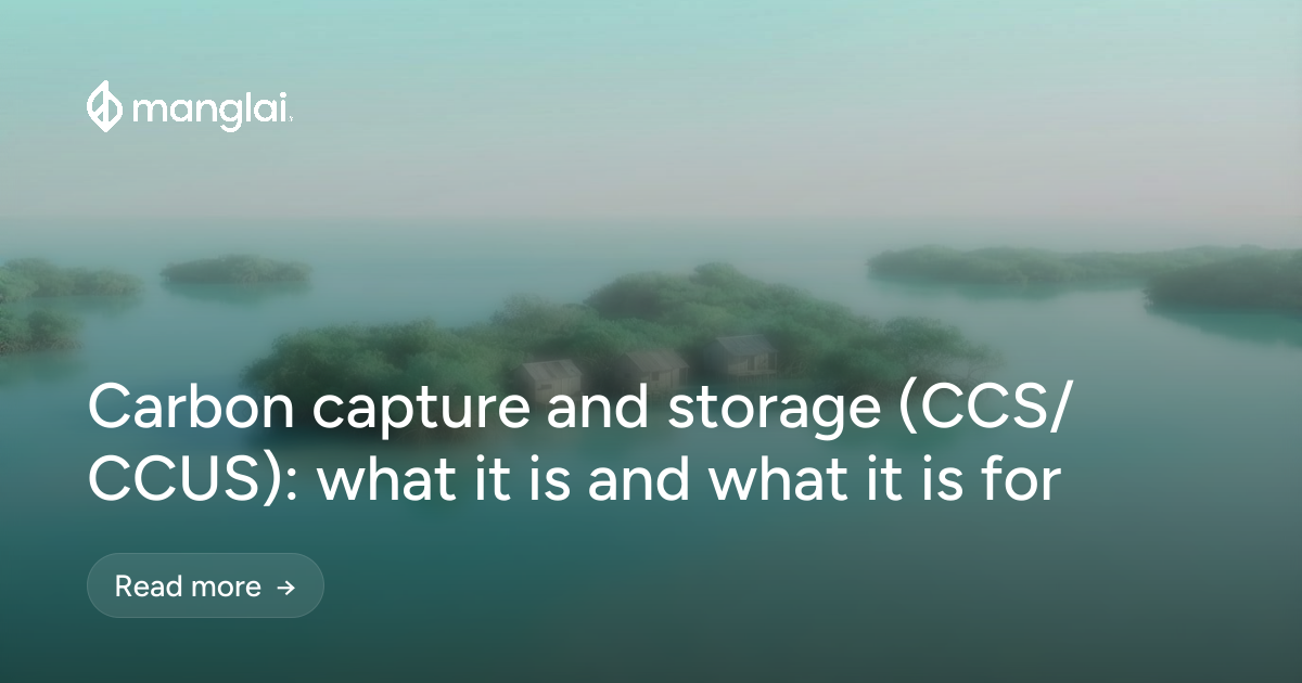 Carbon capture and storage (CCS/CCUS): what it is and what it is for