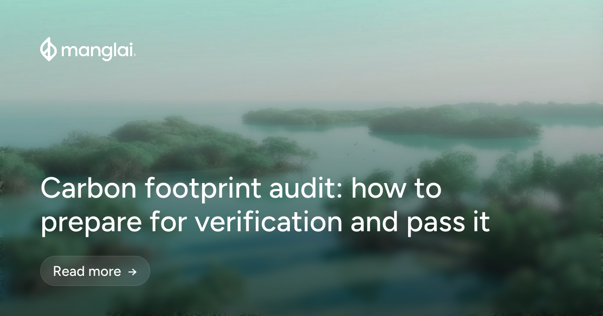 Carbon footprint audit: how to prepare for verification and pass it