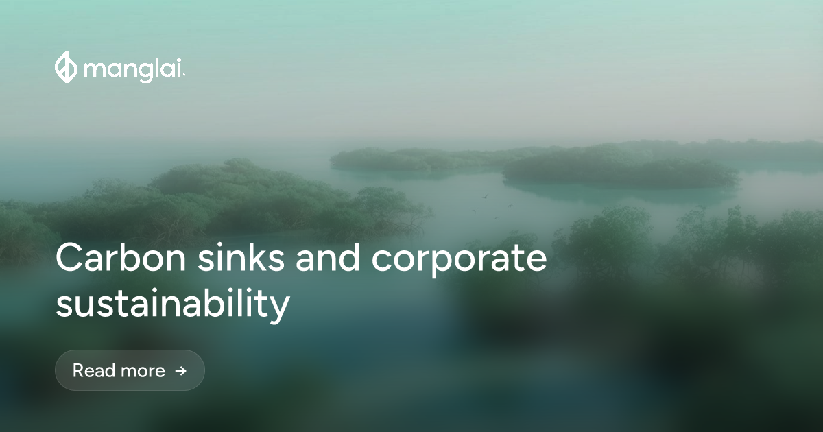Carbon sinks and corporate sustainability