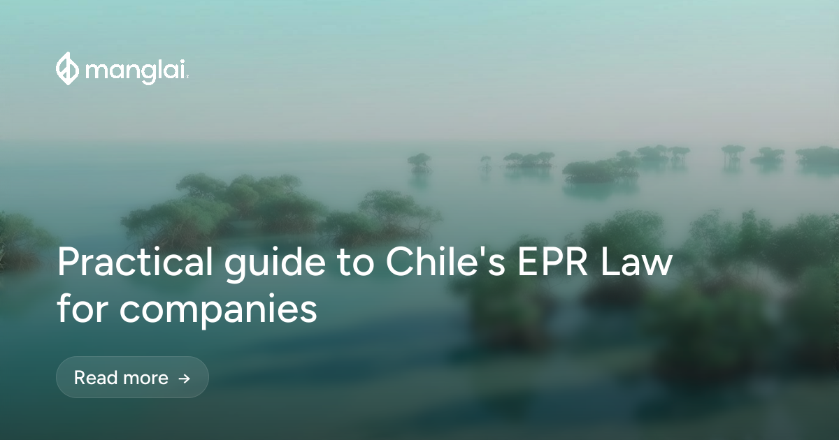 Practical guide to Chile's EPR Law for companies