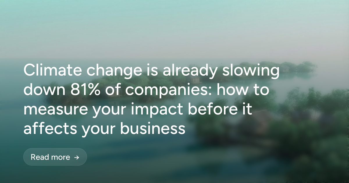 Climate change is already slowing down 81% of companies: how to measure your impact before it affects your business