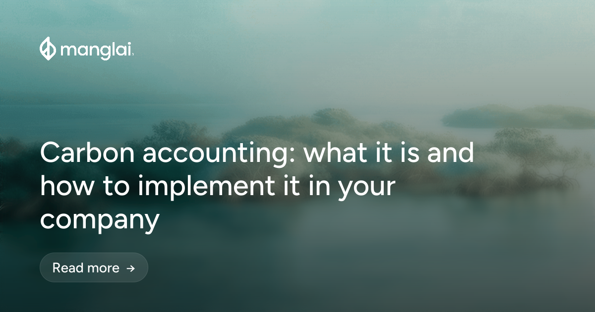 Carbon accounting: what it is and how to implement it in your company