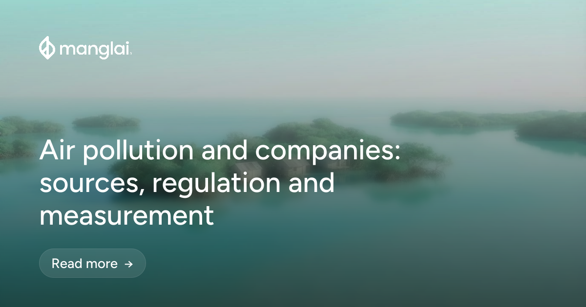 Air pollution and companies: sources, regulation and measurement