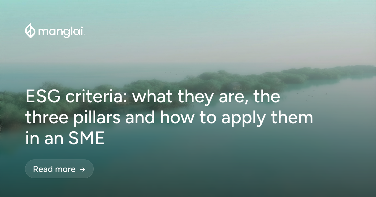 ESG criteria: what they are, the three pillars and how to apply them in an SME