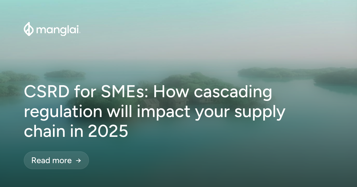 CSRD for SMEs: How cascading regulation will impact your supply chain in 2025