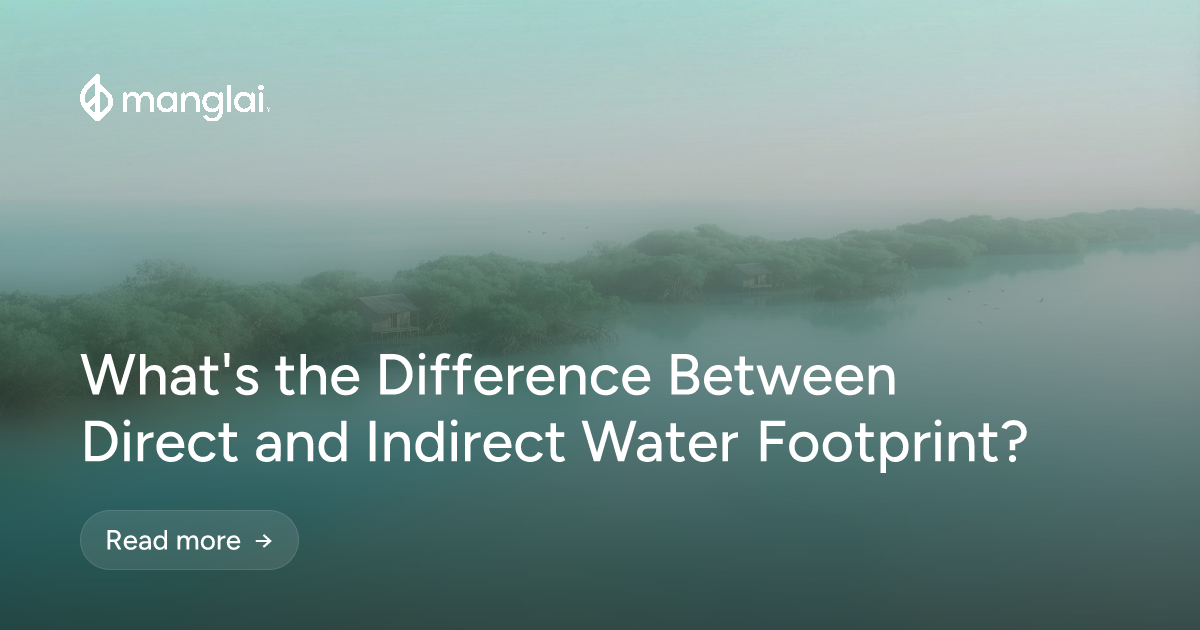 What's the Difference Between Direct and Indirect Water Footprint?