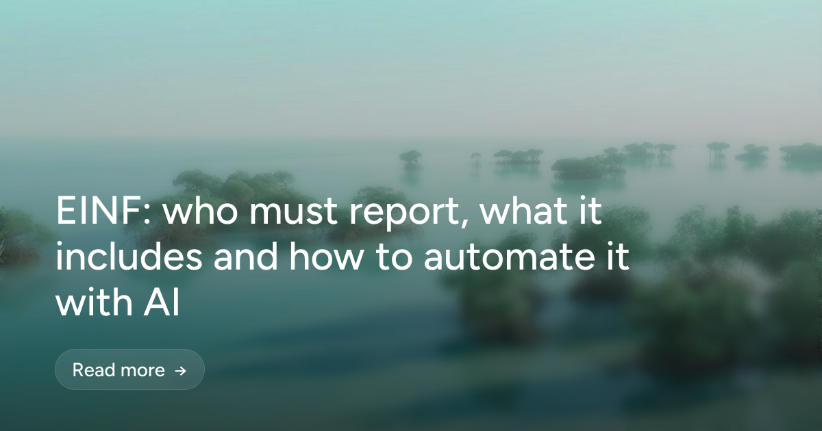 EINF: who must report, what it includes and how to automate it with AI