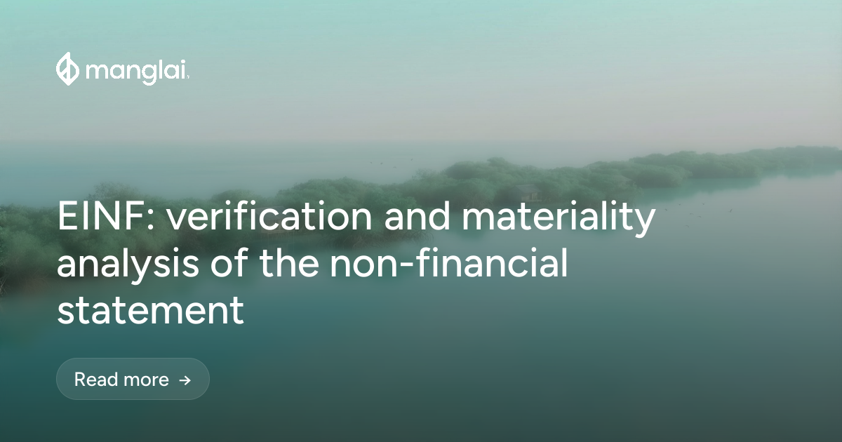 EINF: verification and materiality analysis of the non-financial statement