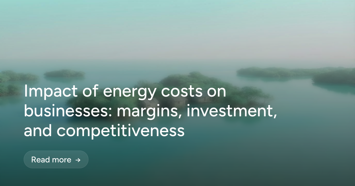 Impact of energy costs on businesses: margins, investment, and competitiveness