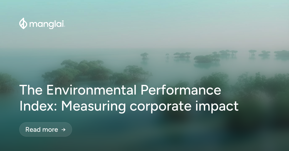 The Environmental Performance Index: Measuring corporate impact