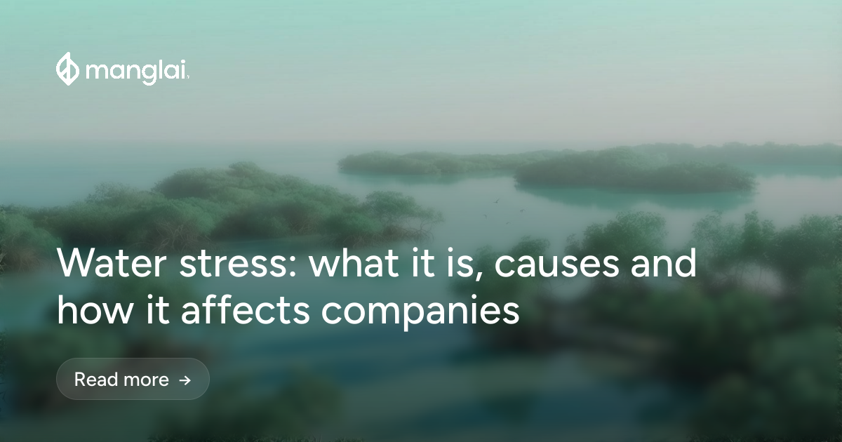 Water stress: what it is, causes and how it affects companies