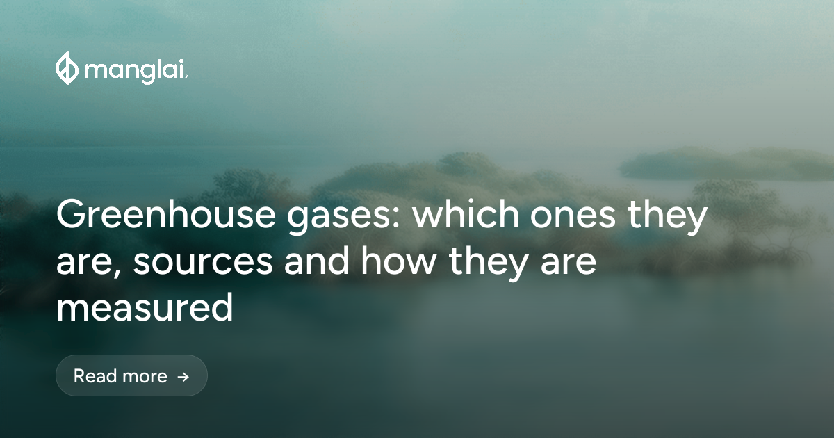 Greenhouse gases: which ones they are, sources and how they are measured