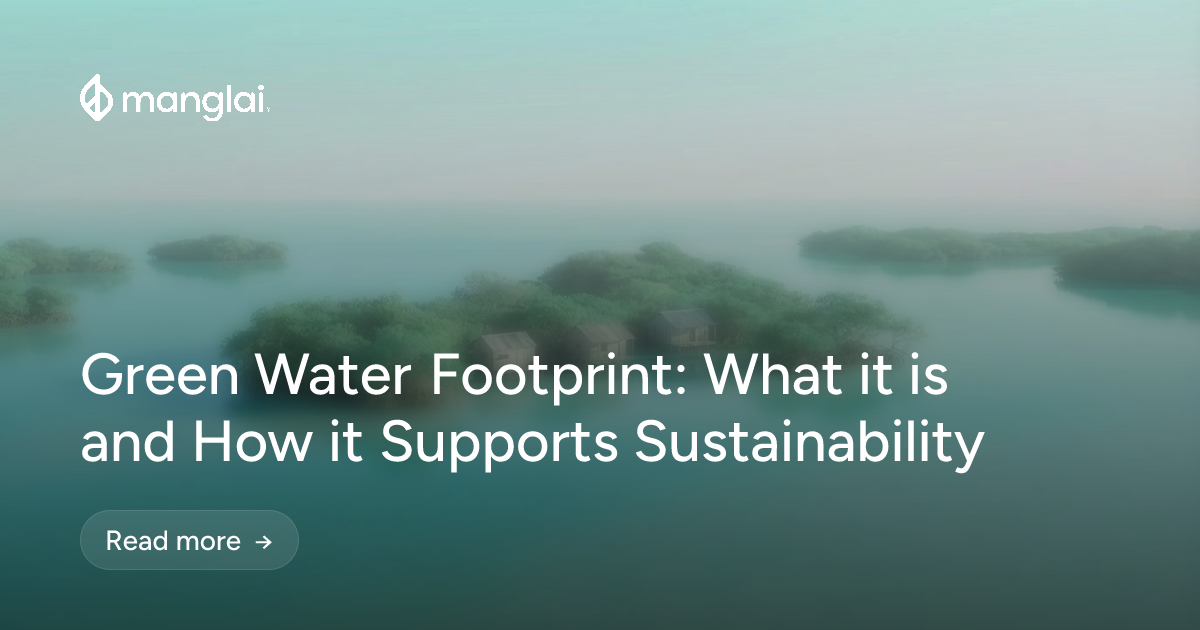 Green Water Footprint: What it is and How it Supports Sustainability