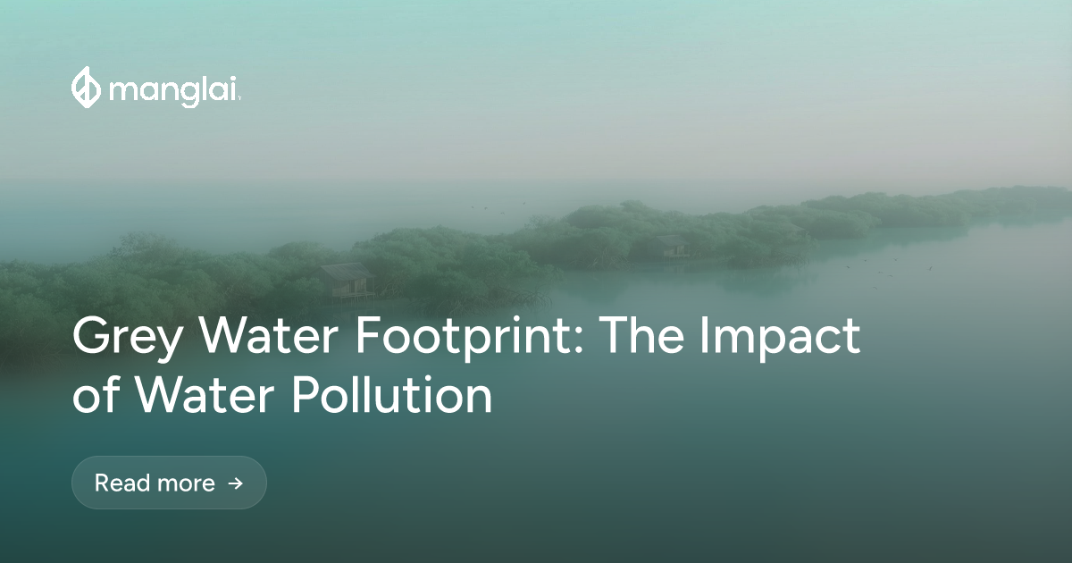 Grey Water Footprint: The Impact of Water Pollution