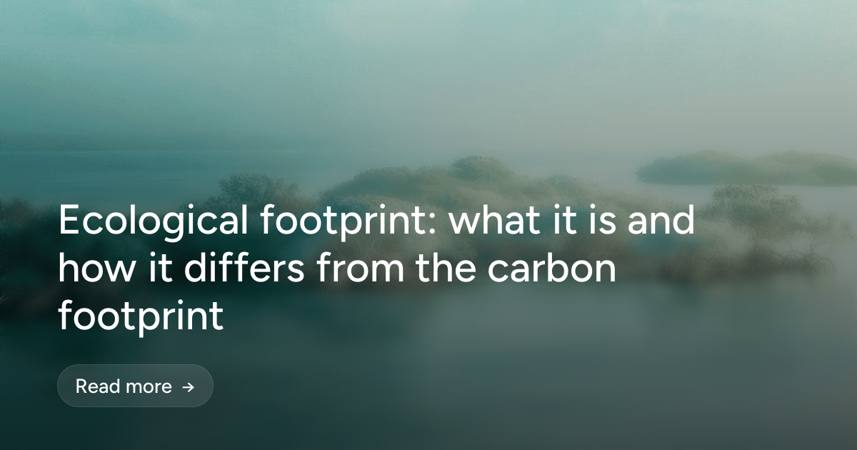 Ecological footprint: what it is and how it differs from the carbon footprint