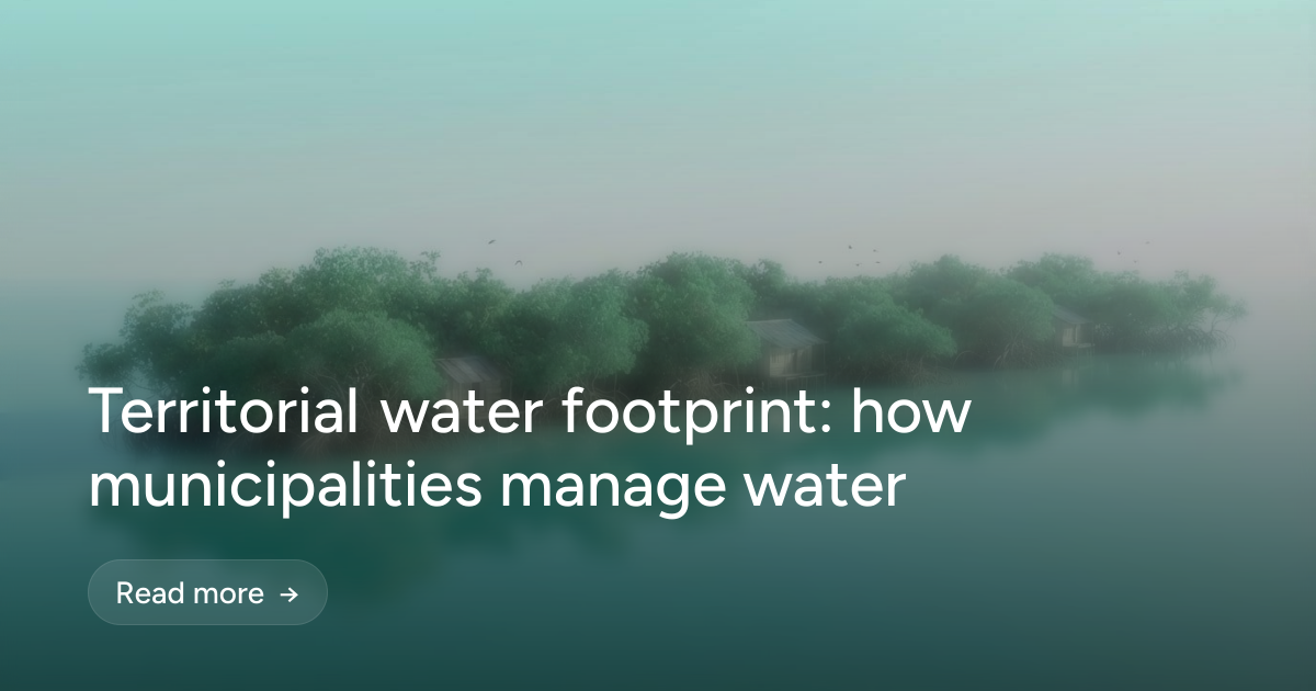 Territorial water footprint: how municipalities manage water