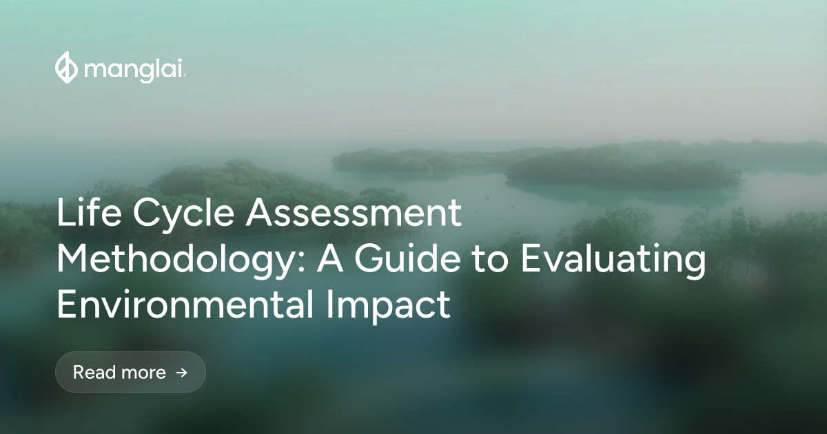 Life Cycle Assessment Methodology: A Guide to Evaluating Environmental Impact