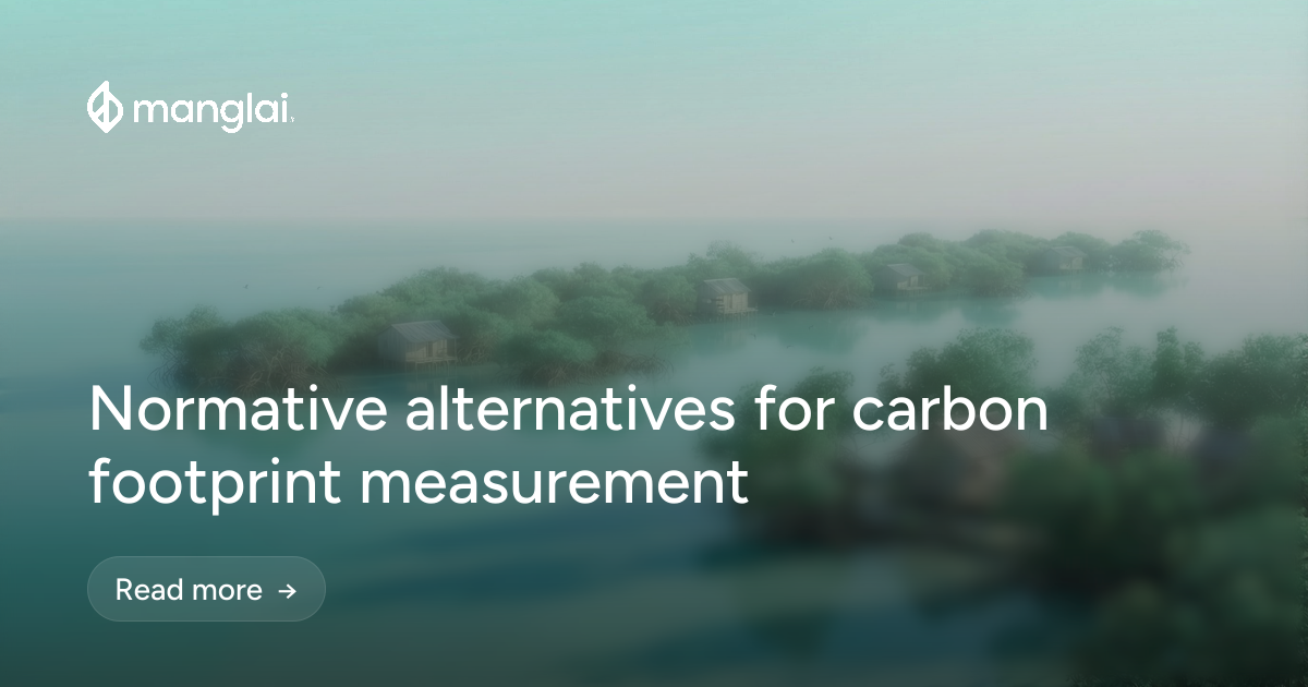 Normative alternatives for carbon footprint measurement