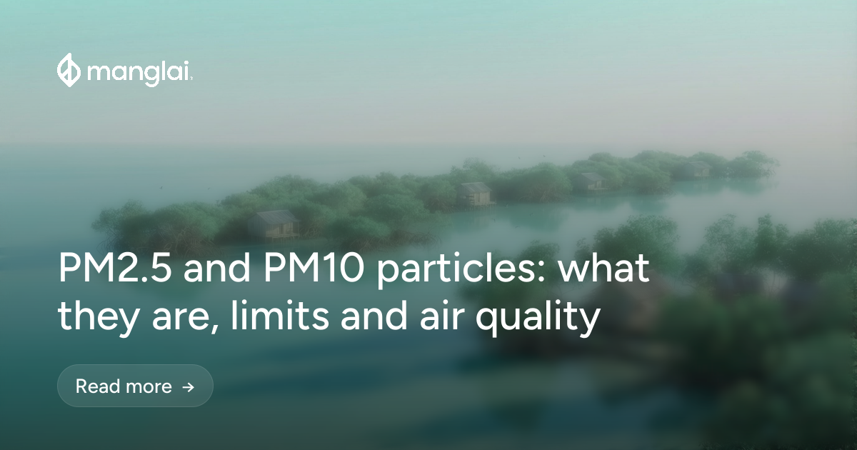PM2.5 and PM10 particles: what they are, limits and air quality