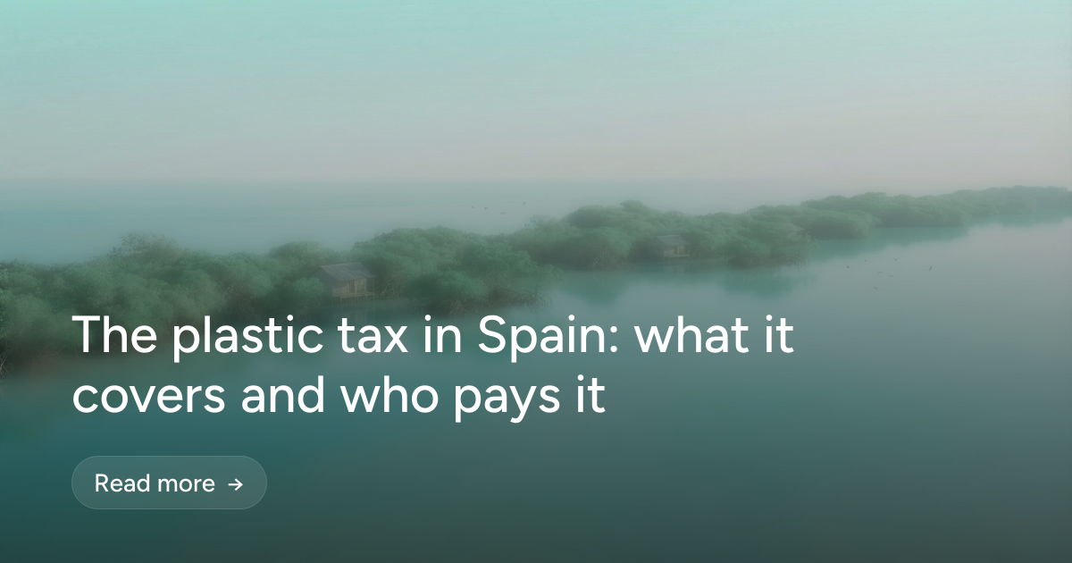 The plastic tax in Spain: what it covers and who pays it
