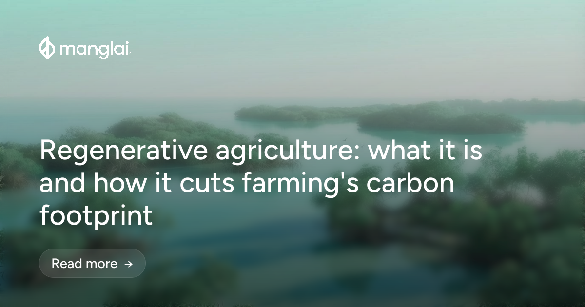 Regenerative agriculture: what it is and how it cuts farming's carbon footprint