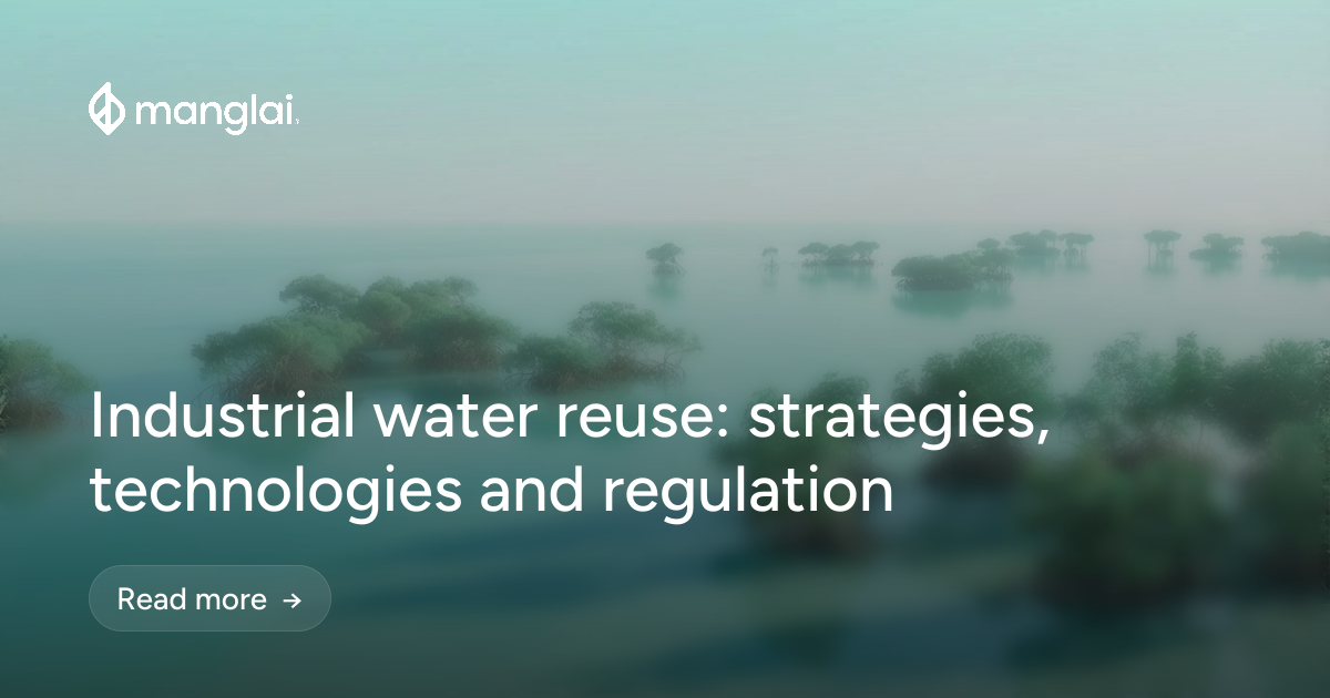Industrial water reuse: strategies, technologies and regulation