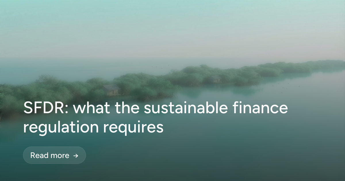 SFDR: what the sustainable finance regulation requires