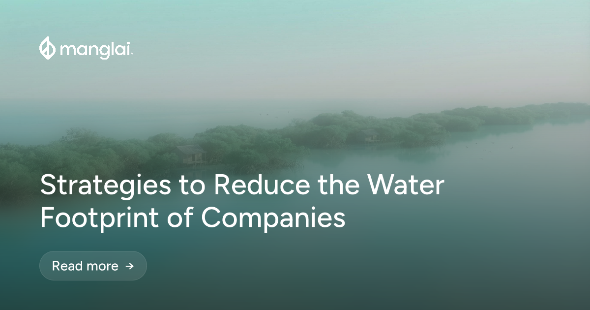 Strategies to Reduce the Water Footprint of Companies