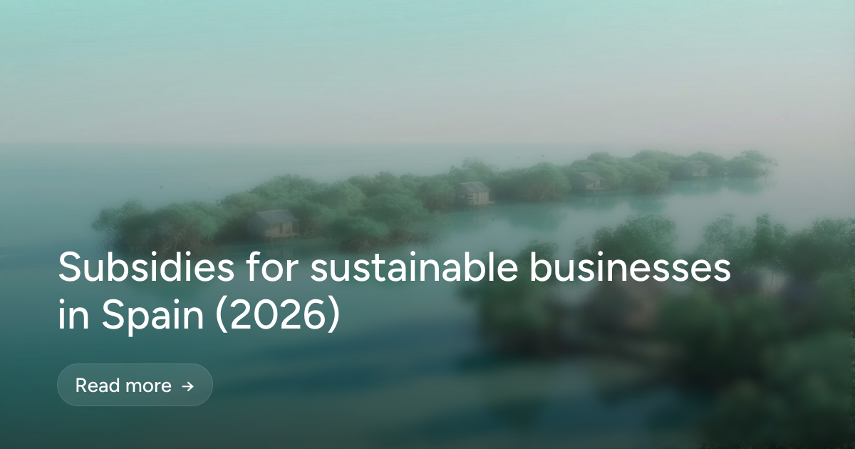 Subsidies for sustainable businesses in Spain (2026)