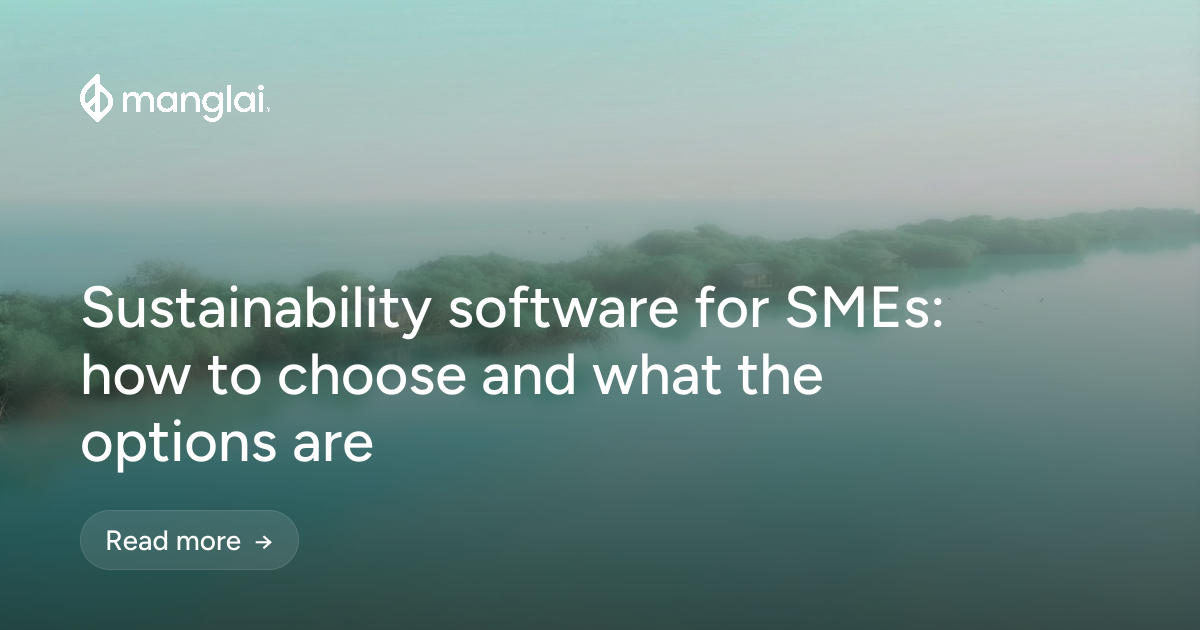 Sustainability software for SMEs: how to choose and what the options are