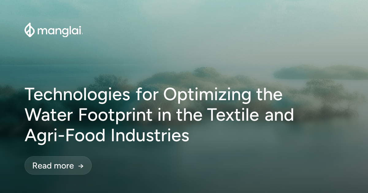 Technologies for Optimizing the Water Footprint in the Textile and Agri-Food Industries