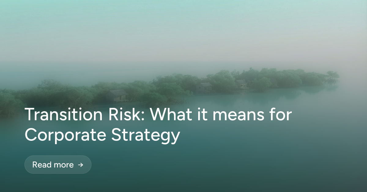 Transition Risk: What it means for Corporate Strategy