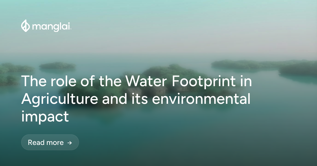 The role of the Water Footprint in Agriculture and its environmental impact