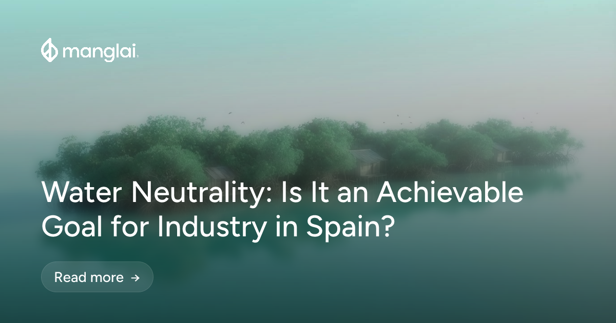 Water Neutrality: Is It an Achievable Goal for Industry in Spain?