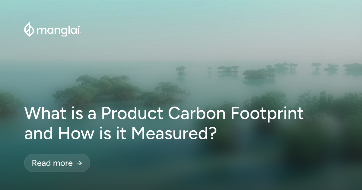 What is a Product Carbon Footprint and How is it Measured?