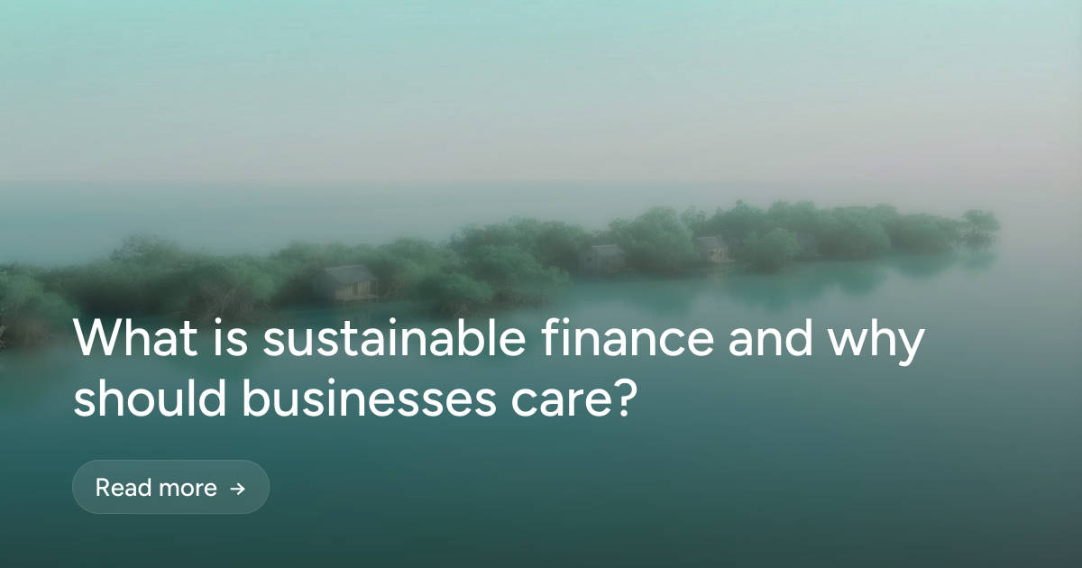 What is sustainable finance and why should businesses care?