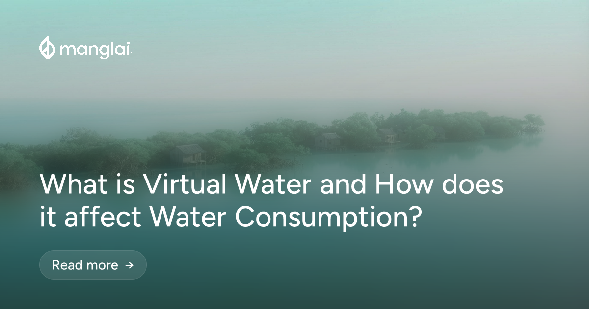 What is Virtual Water and How does it affect Water Consumption?