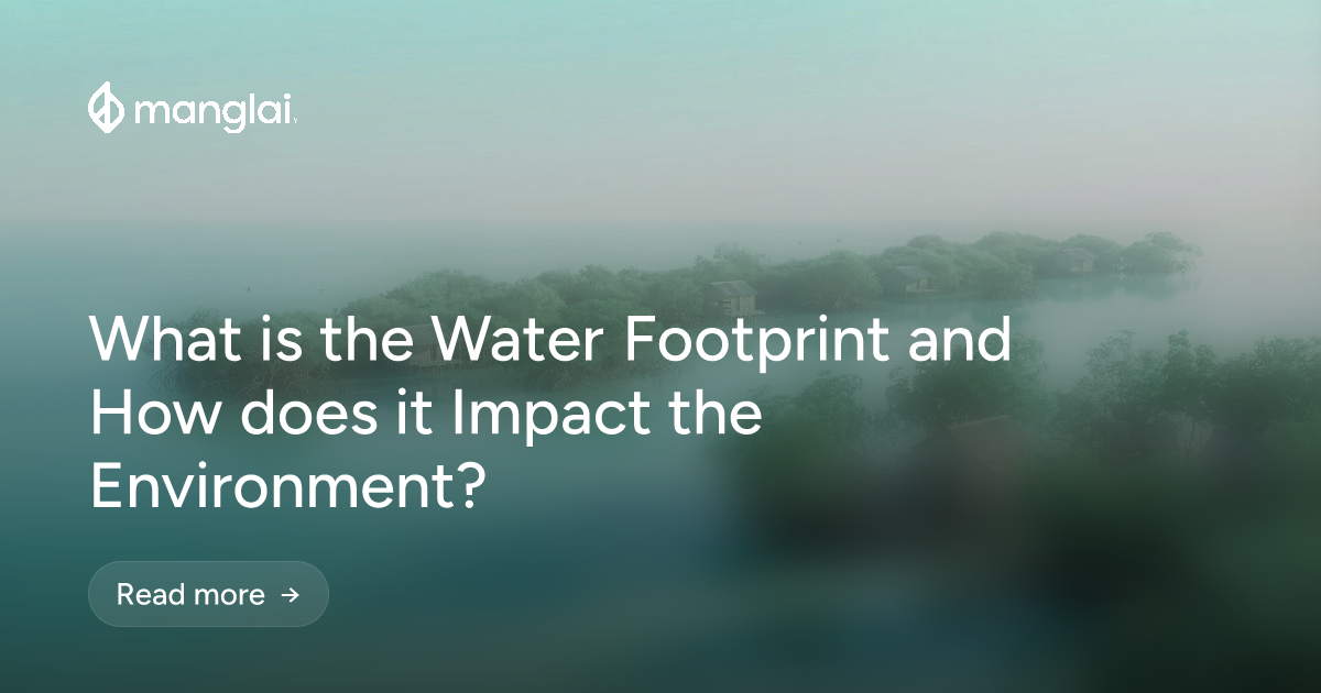 What is the Water Footprint and How does it Impact the Environment?