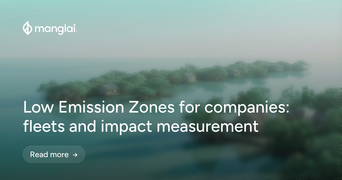 Low Emission Zones for companies: fleets and impact measurement