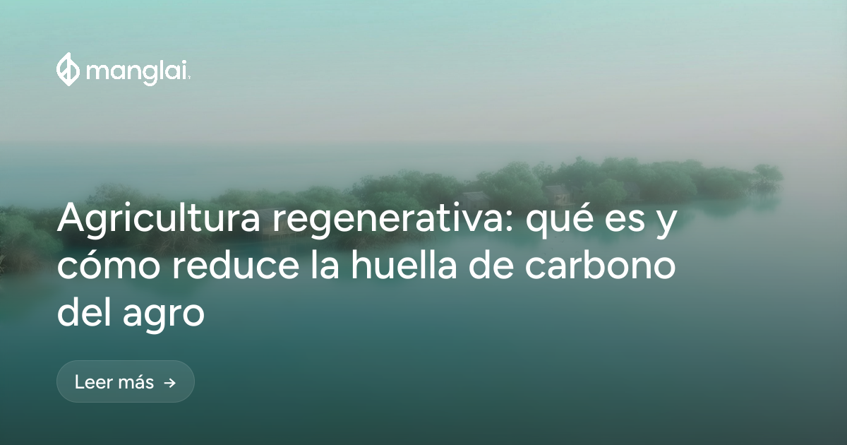 Agricultura regenerativa: qué es y cómo reduce la huella de carbono del agro