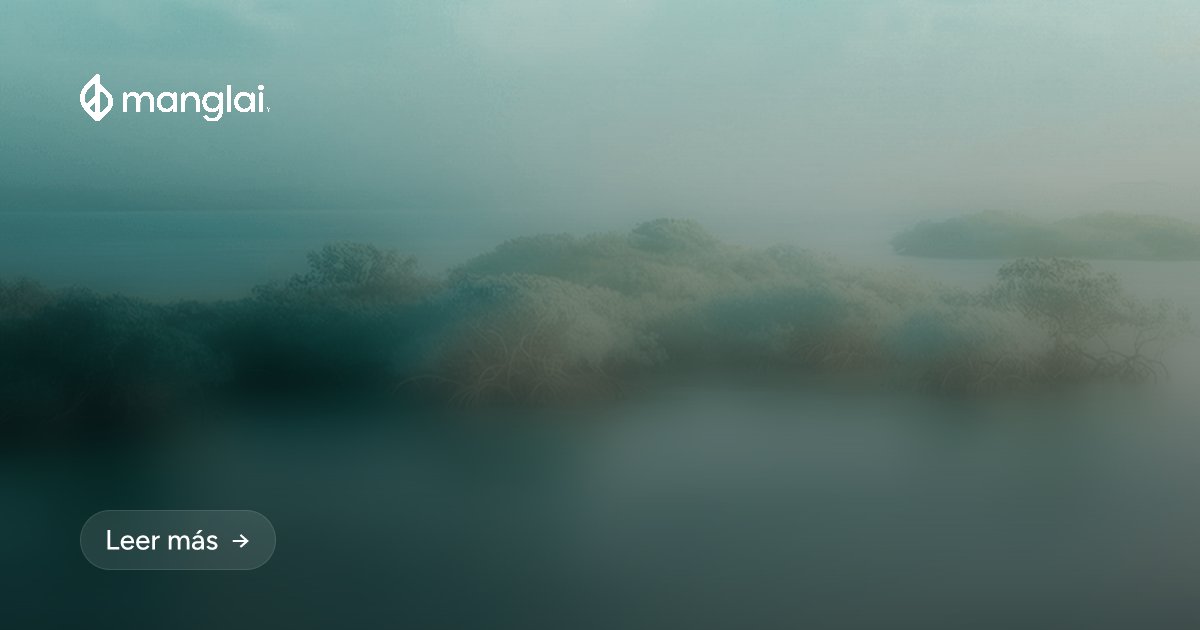 EUDR: Un año extra, pero la misma presión. ¿Por qué el aplazamiento no es una excusa para esperar?