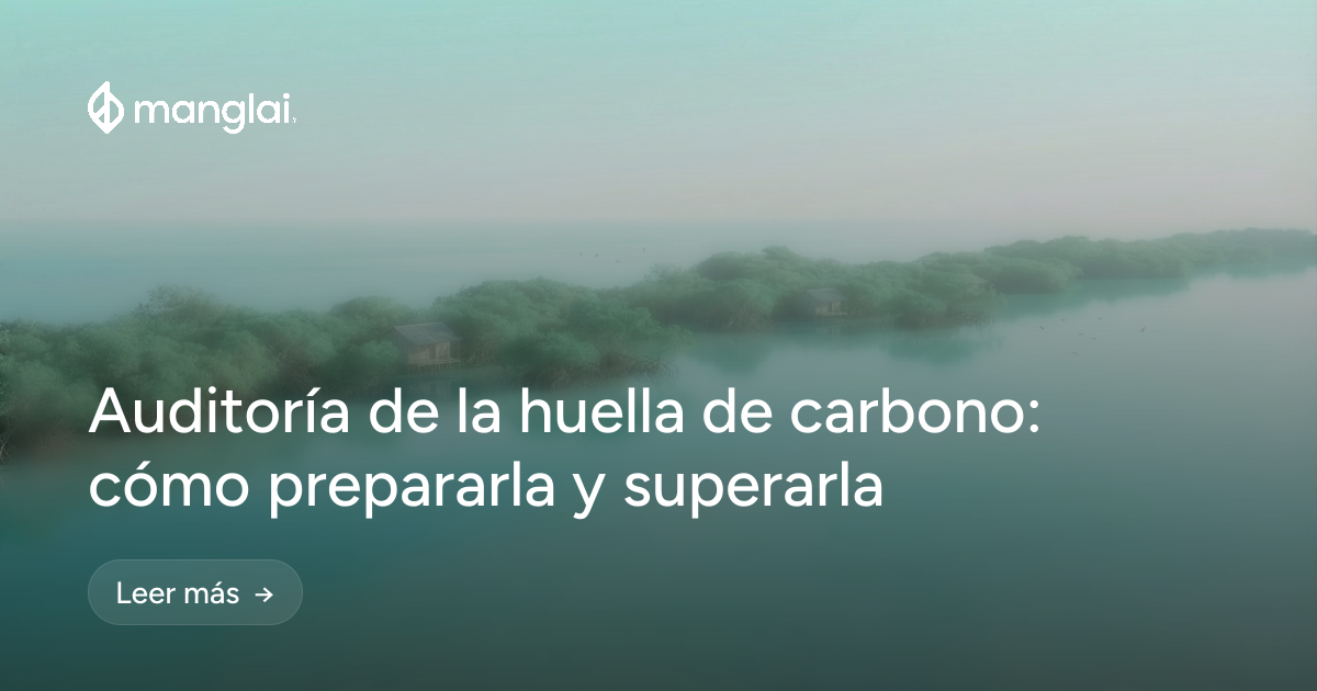 Auditoría de la huella de carbono: cómo prepararla y superarla