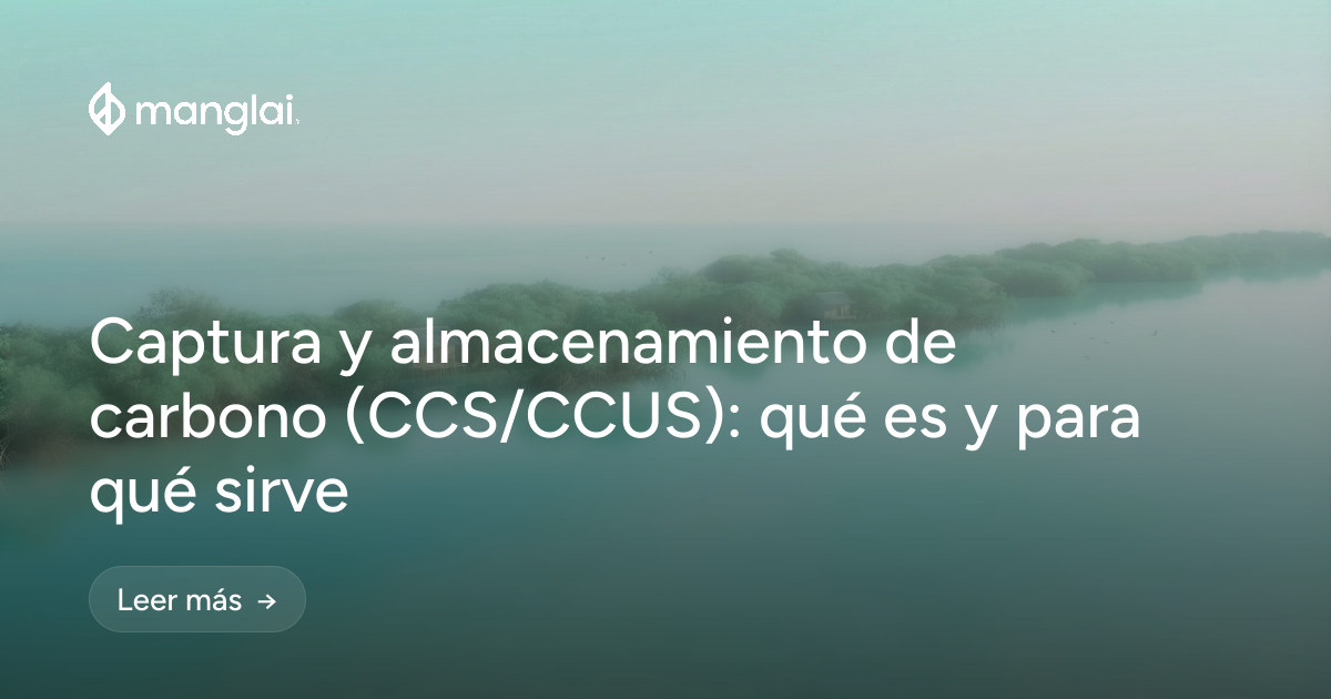 Captura y almacenamiento de carbono (CCS/CCUS): qué es y para qué sirve