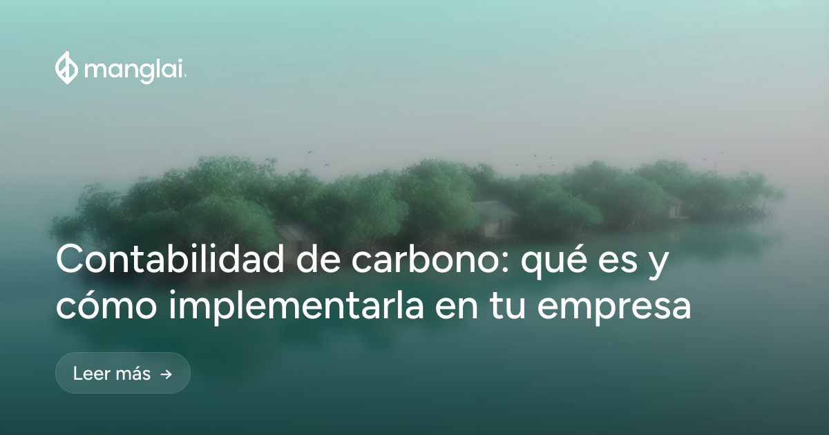 Contabilidad de carbono: qué es y cómo implementarla en tu empresa