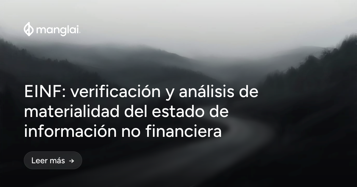 EINF: verificación y análisis de materialidad del estado de información no financiera