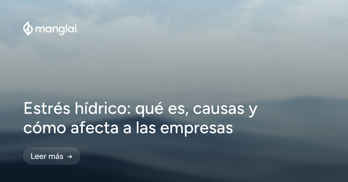 Estrés hídrico: qué es, causas y cómo afecta a las empresas